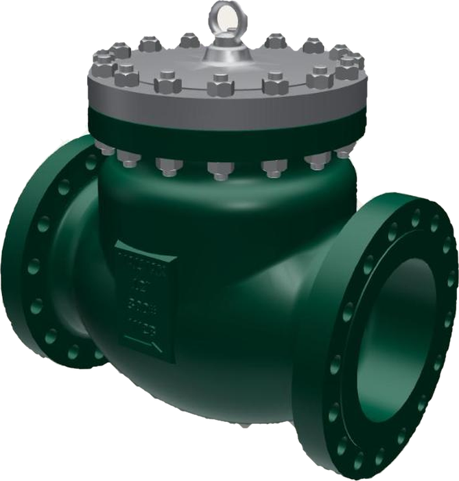 Bolted bonnet swing check valve